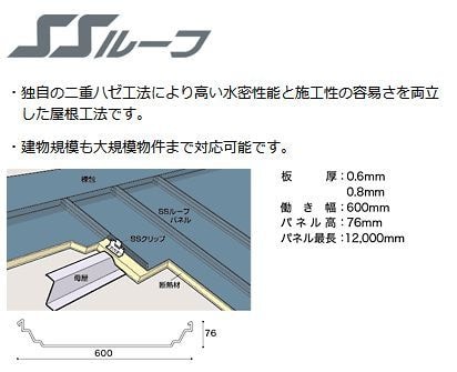 ssroof1.jpg